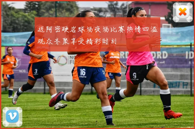 迈阿密硬岩球场夜场比赛热情四溢观众齐聚享受精彩时刻