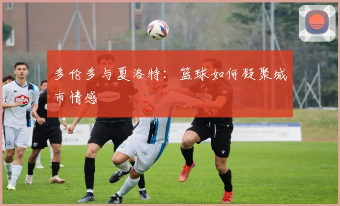 多伦多与夏洛特：篮球如何凝聚城市情感