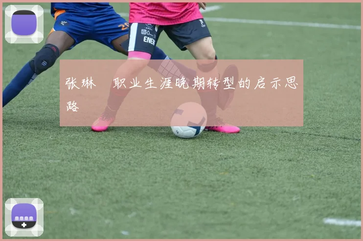 张琳芃职业生涯晚期转型的启示思路