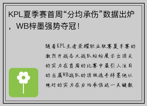 KPL夏季赛首周“分均承伤”数据出炉，WB梓墨强势夺冠！